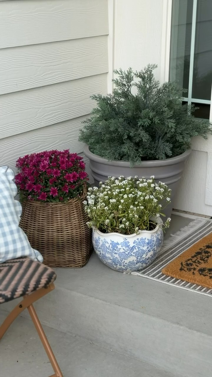 Our pretty planters for fall 🍂 Love how this combination looks for the start of the autumn season

#LTKHome #LTKSeasonal