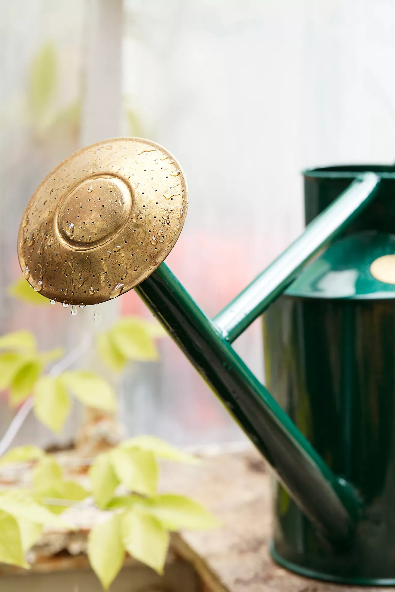 Haws Bearwood Brook Watering Can | Terrain