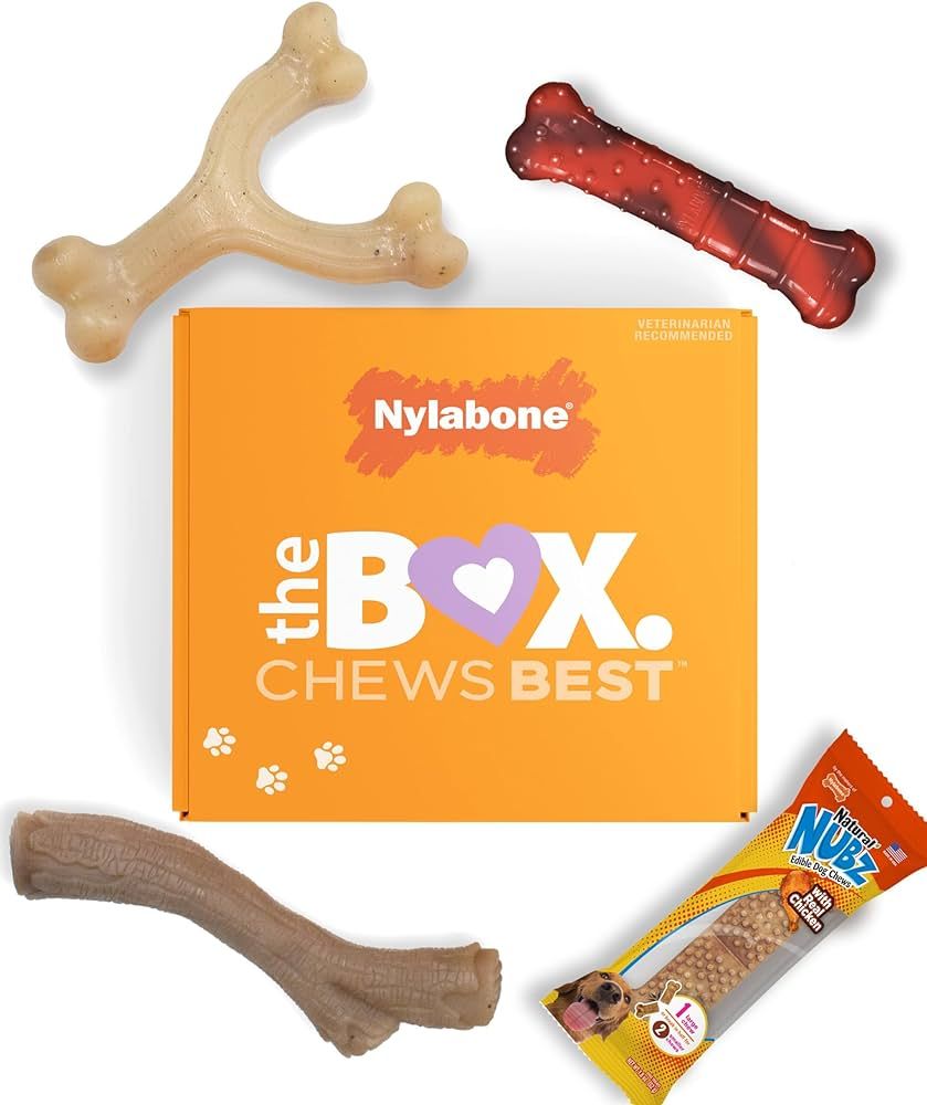Nylabone Dog Gift Box for Small Dogs - 3 Strong Chew Toys and 1 Dog Treat - Flavor Variety, Small... | Amazon (US)