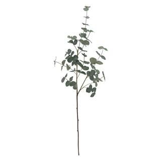 Small Leaf Eucalyptus Stem by Ashland® | Michaels Stores