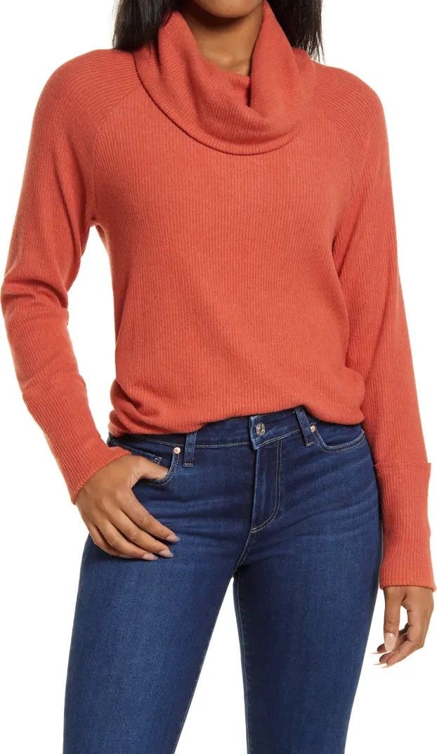 Caslon® Cowl Neck Hacchi Tunic | Nordstrom | Nordstrom