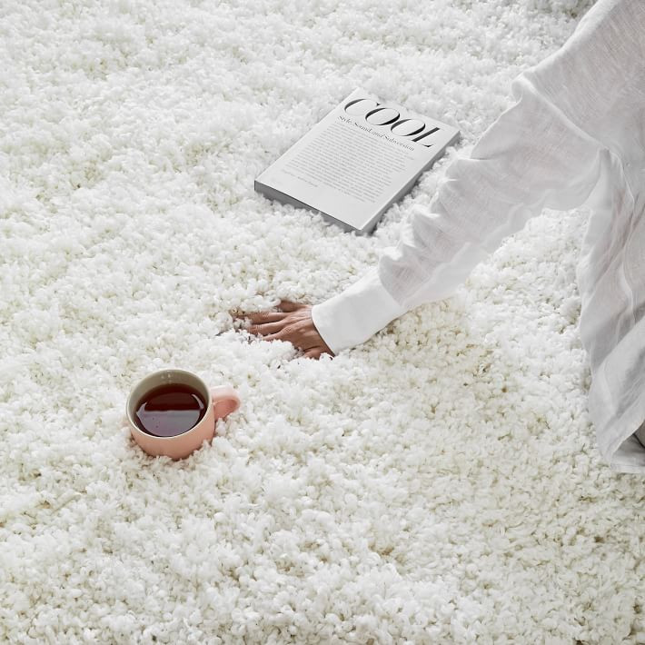 Cozy Plush Low-Shed Shag Rug | West Elm | West Elm (US)