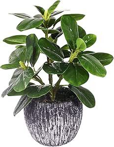 Artificial Potted Plant, Real Touch Artificial Oak Leaves Waterproof Fake Plants Indoor Outdoor, ... | Amazon (US)