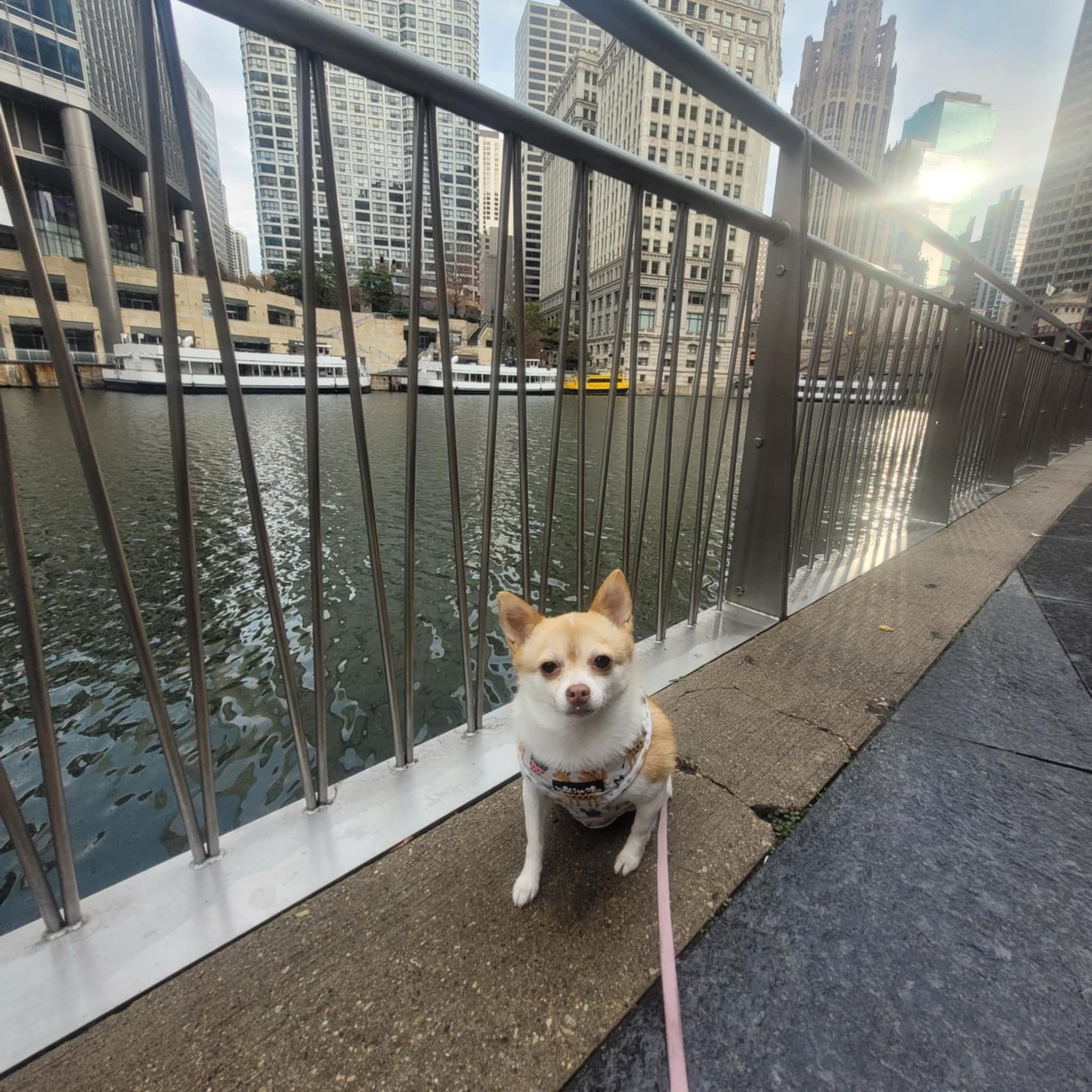 walks on the river🤍