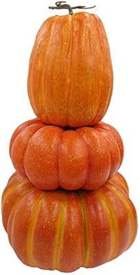 Holiday Living Topiary | Amazon (US)