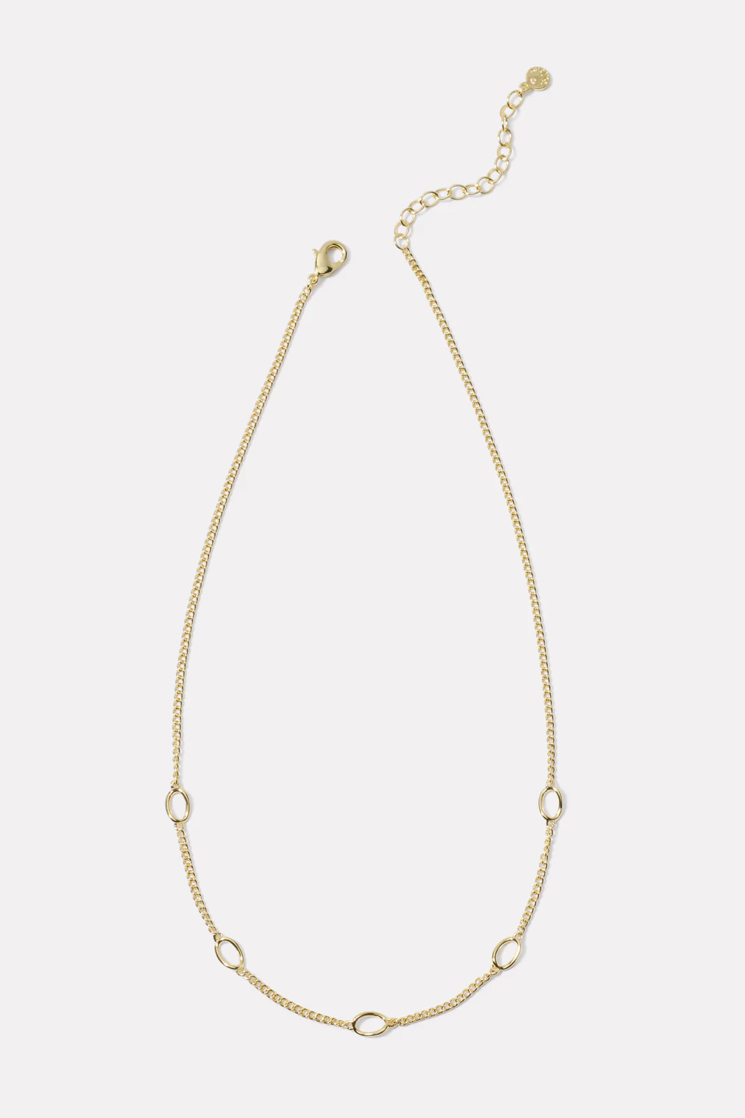 Wilder Link Necklace | Evereve