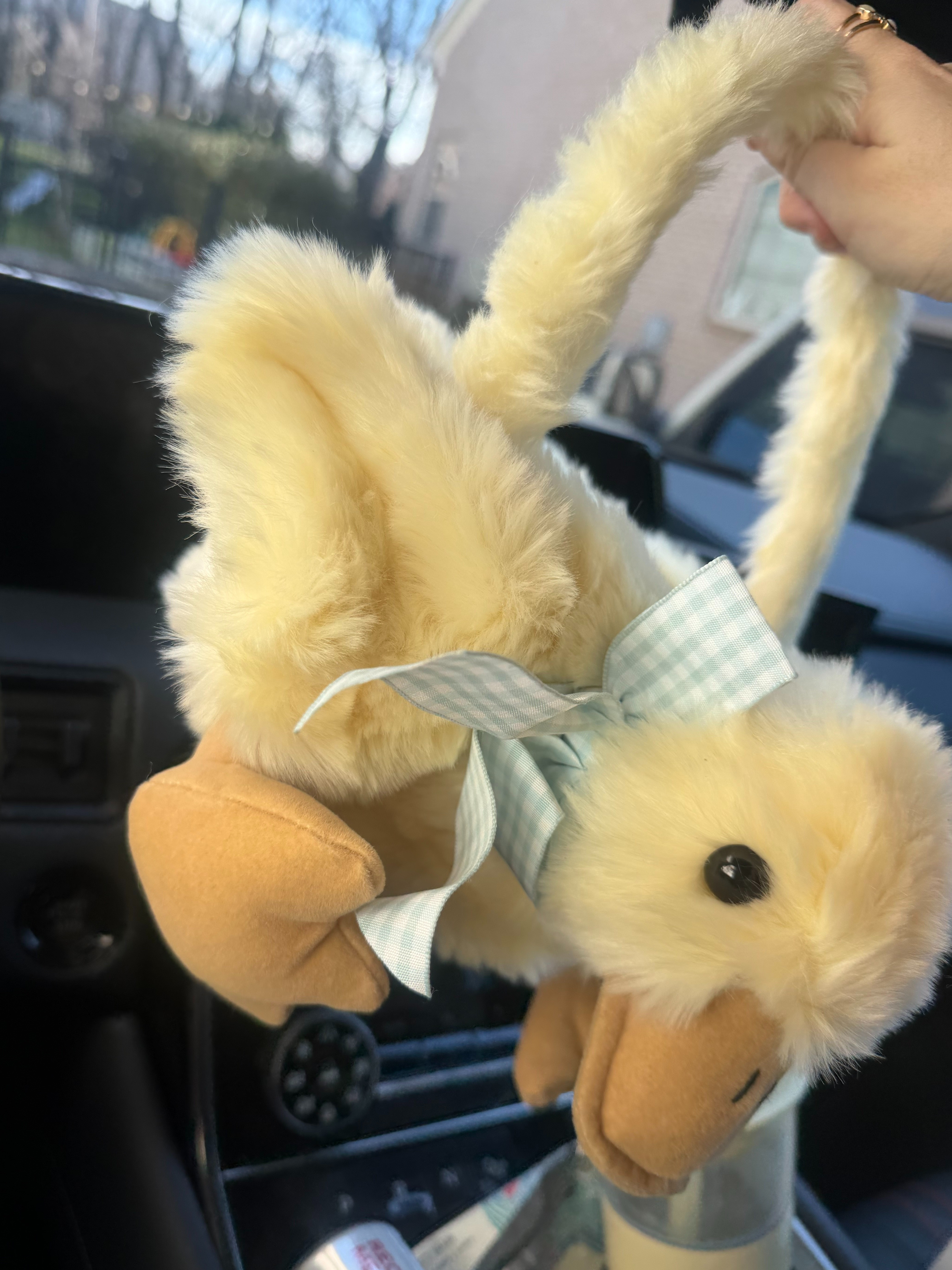 The cutest Easter basket idea or perfect for a little toddler play purse!  

 #LTKBaby #LTKKids