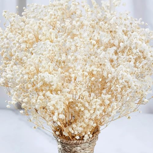 2000+ Dried Babys Breath Flowers Bulk - 17" Ivory White Dried Flower Bouquet, Real Natural Gypsophila Branches for Vase Filler, Wedding, Table Centerpiece, Home Decor, DIY Wreath Floral, Crafts | Amazon (US)