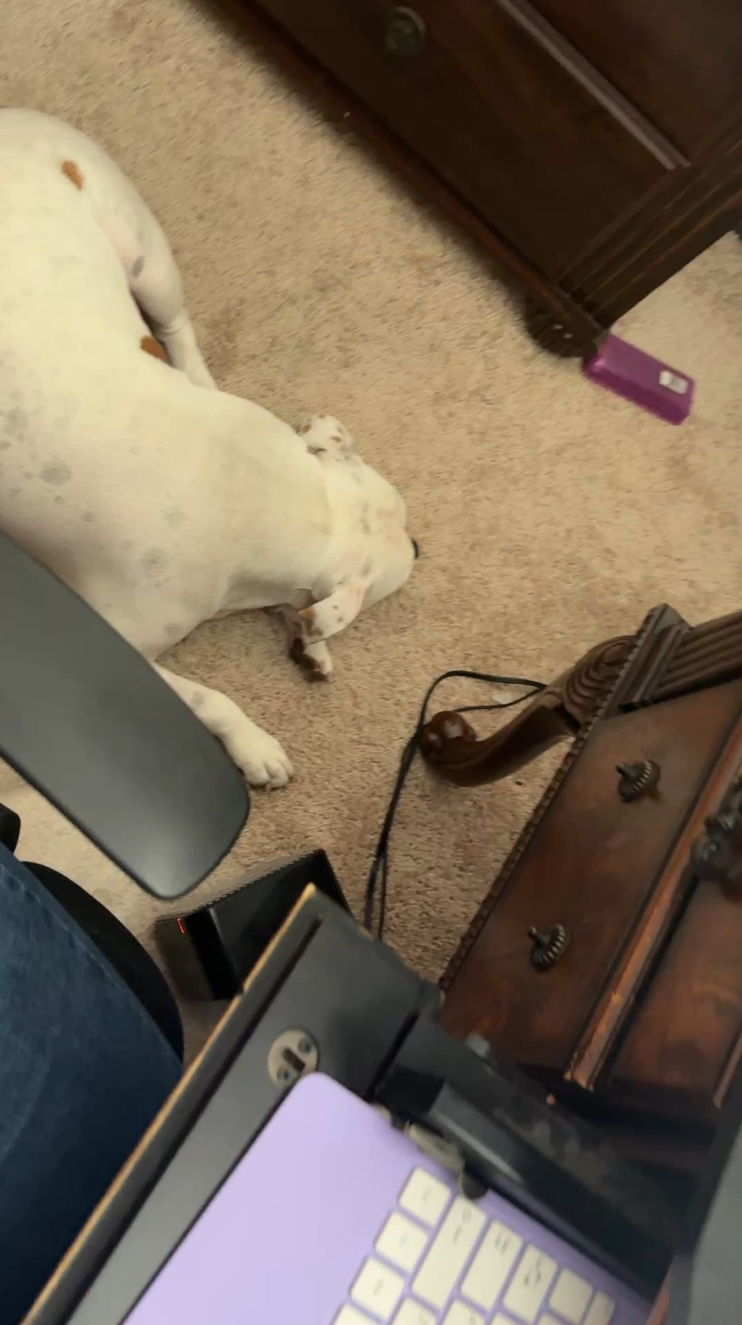 Perfect little heater. Safety feature is auto turn off when knocked over.

#LTKSeasonal #LTKGiftGuide #LTKHoliday