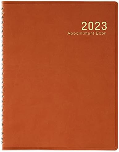 2023 Weekly Appointment Book/Planner - 53 Weeks Daily Hourly Planner Organizer, 15-Minute Increme... | Amazon (US)
