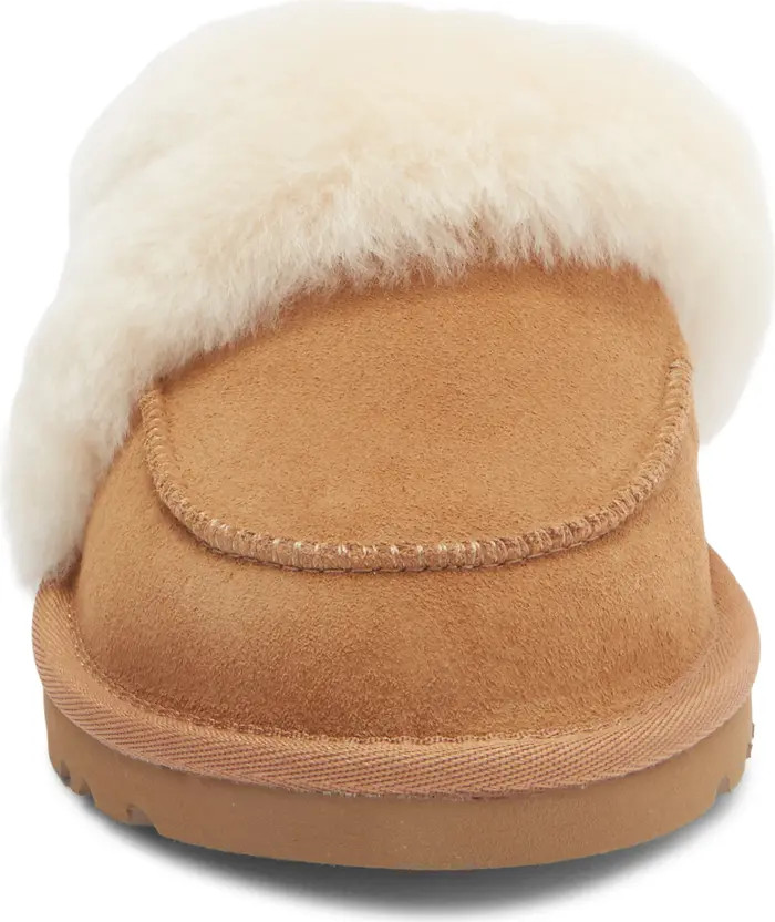 Loria Genuine Shearling Lined Slipper (Women) | Nordstrom Rack