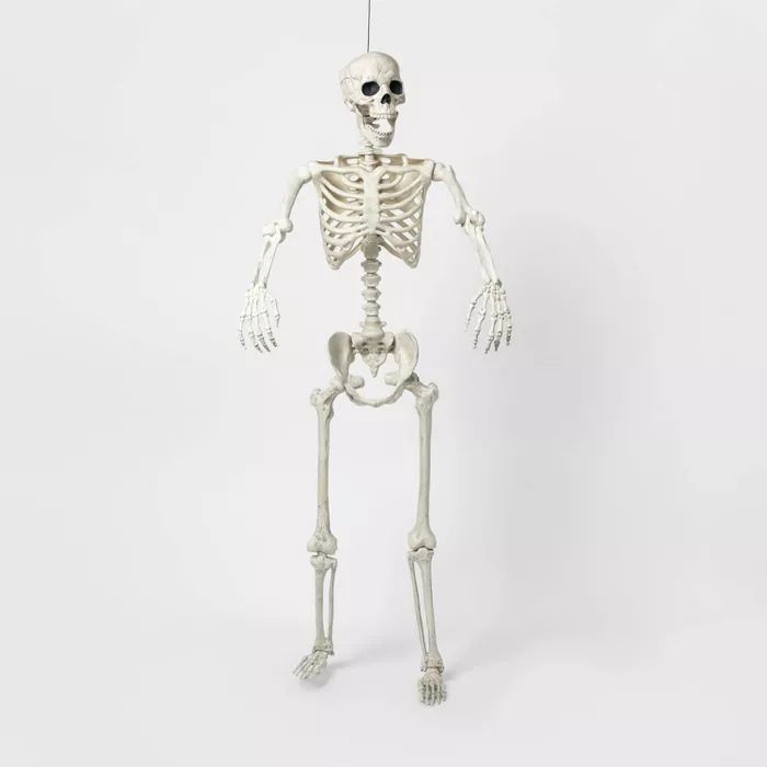 60" Posable Lifesize Skeleton XL Halloween Decorative Mannequin - Hyde & EEK! Boutique™ | Target