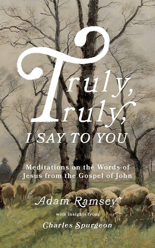 Truly, Truly, I Say to You: Meditations on the Words of Jesus from the Gospel of John (40 Devotio... | Amazon (US)