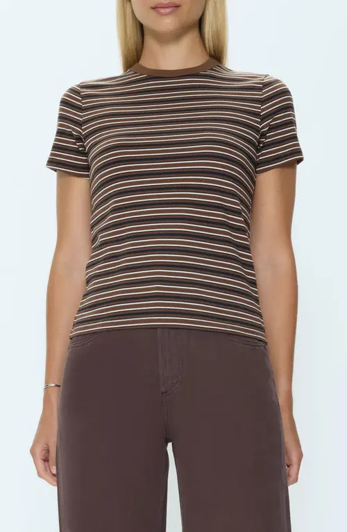 Pistola Alba Cotton T-Shirt in Bruna Black Stripe at Nordstrom, Size Small | Nordstrom