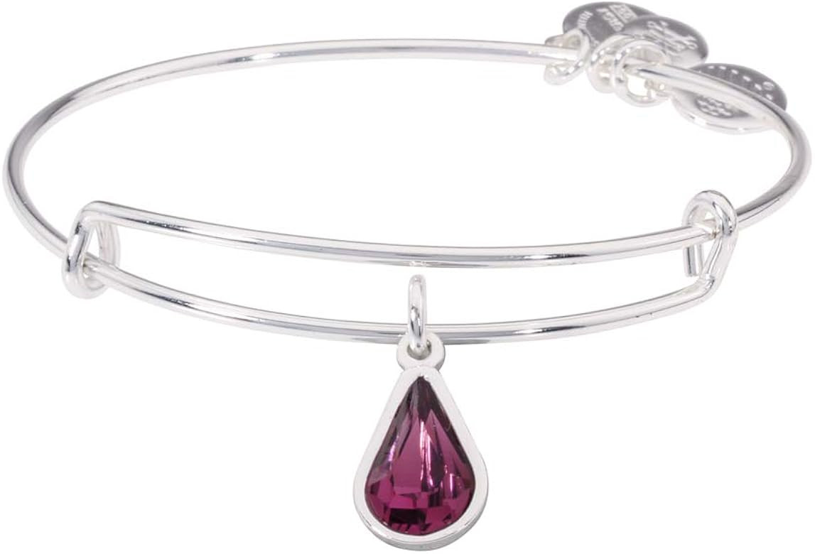 Birth Month Charm with Swarovski Crystal Bangle Bracelet | Amazon (US)