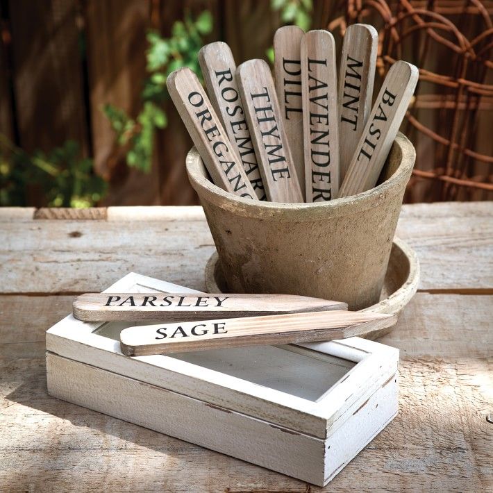 Wooden Herb Plant Stakes in Wooden Box, Set of 9 | Williams-Sonoma