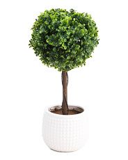 18in Boxwood Topiary In Bubble Ceramic Pot | TJ Maxx