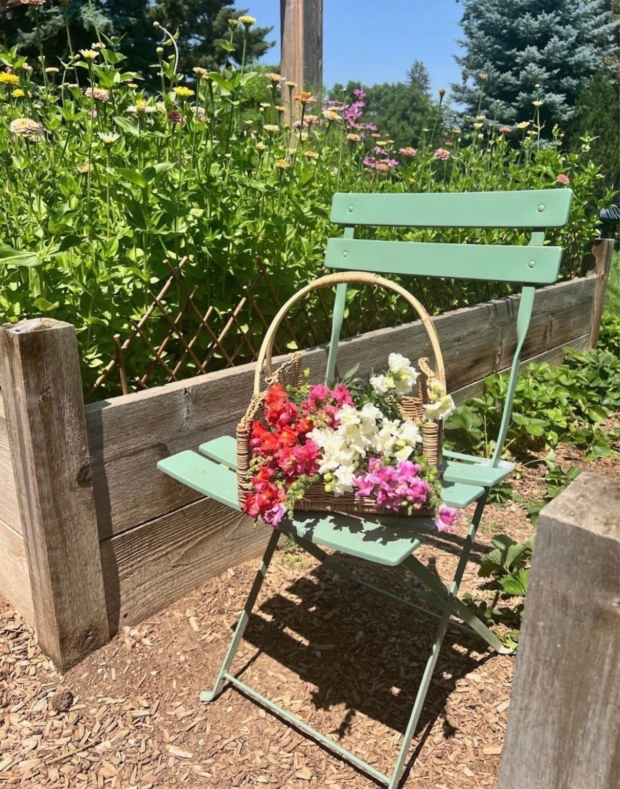 I keep ending up back at this little corner of the garden lately 🌿 The basket has been coming with me every time I cut flowers, and I’m really glad I went with the green chairs. They’ve made the space feel so cozy out there!!

#LTKSeasonal #LTKHome #LTKSaleAlert