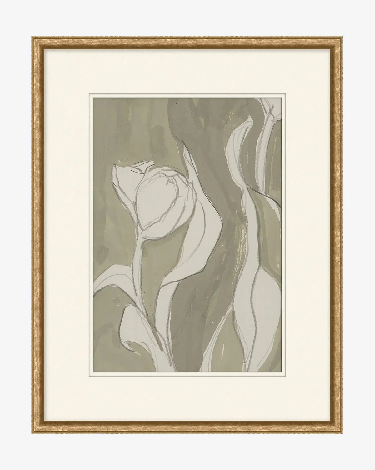 Delicate Tulip II by Rebekah Webb | McGee & Co. (US)