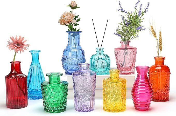 Colored Glass Bud Vase Set of 10 - Small Vases for Flowers Vintage Styles Small Flower Vases for ... | Amazon (US)