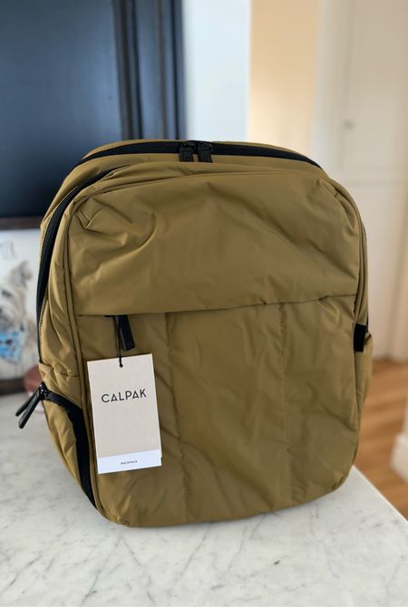 CALPAK travel backpack 🎒 (could also be a diaper bag) 

#LTKtravel #LTKitbag #LTKbaby