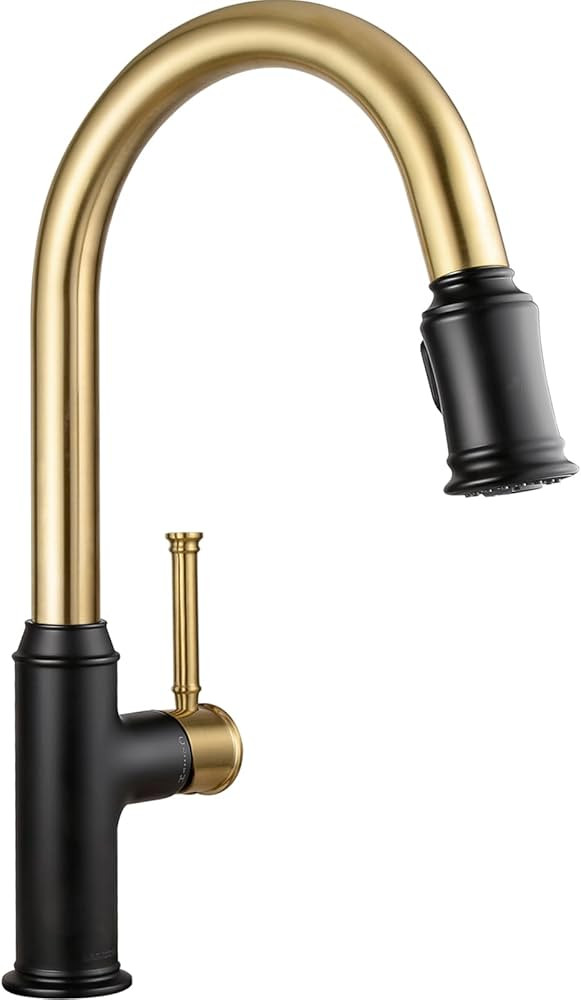 Matte Black and Brushed Gold Kitchen Faucet with Pull Down Sprayer, Lava Odoro Single Handle Kitc... | Amazon (US)