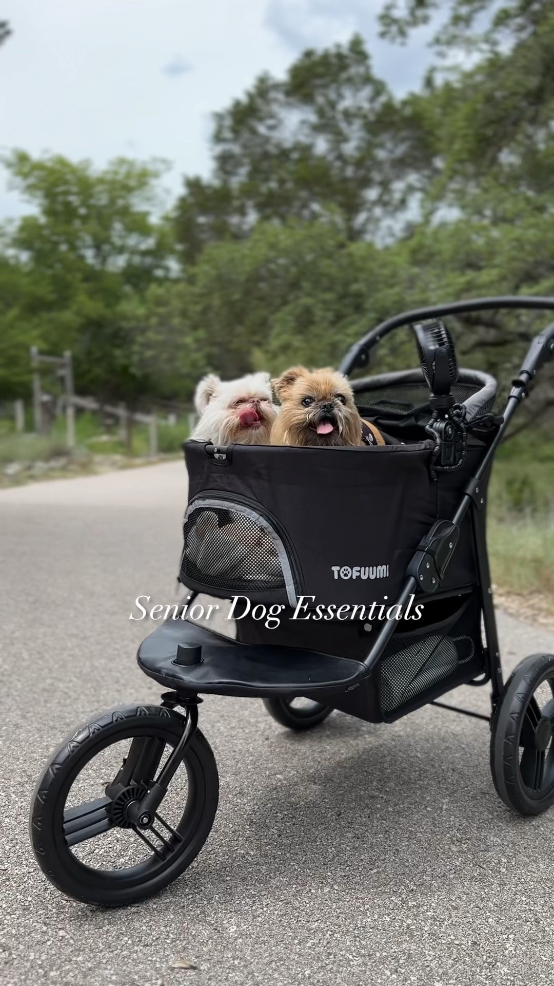 Let’s talk senior dog essentials -
Our most used dog products have to be our dog stroller, dog ramp, tons of cute pet beds and their elevated dog bowls. 

I found the best dog stroller that is priced right at $100! It’s such a beautiful stroller with so many features including a removable carrier, sunshade, cup holder, basket, and so much more. The quality is absolutely amazing for the price!!

An elevated dog bowl is ideal for any dog but especially for senior dogs. It really helps with their necks and backs. 

We also use multiple dog ramps in our house; outside and inside. We just got one for the side of the bed and it’s been a game changer! We removed our bed frame a year ago for Steven’s safety so it was the perfect height for the ramp. This ramp is adjustable, has guard rails and is carpeted for traction. 

And lastly, can’t go without a cute and comfy dog bed! Their Lambchop bed is on sale for $40!

Senior dogs, chewy , dog essentials 


#LTKHoliday #LTKFamily #LTKGiftGuide