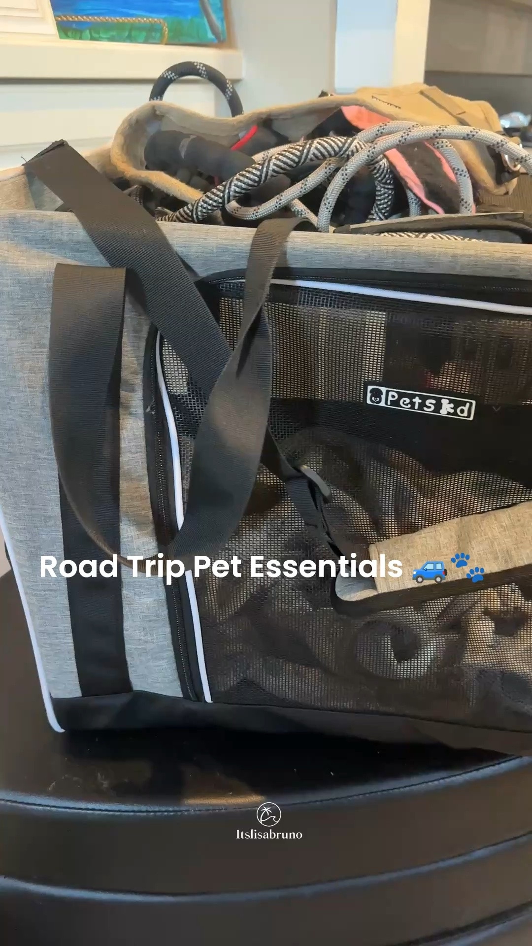 Getting the fur crew road-trip ready 🐾🚗

Karma’s carrier is packed with her favorite blanket, toy, potty pads, and waste bags. On top? The dogs’ harnesses, leashes, and travel water bottle ready for pit stops along the way.

We’re hitting the road with 3 of our 4 pets, so the packing list is a little different around here. 😅

What is one thing your pets can’t travel without?

#Ad #PetTravel #RoadTripWithPets #TravelingWithDogs #TravelingWithCats #SphynxCat #DoodleLife #PetEssentials #RoadTripReady #PetMomLife #TravelTips #FurFamily #PetFriendlyTravel #LTKPets #CatMom #DogMom

#LTKdayinmylife #LTKTravel #LTKmomlife