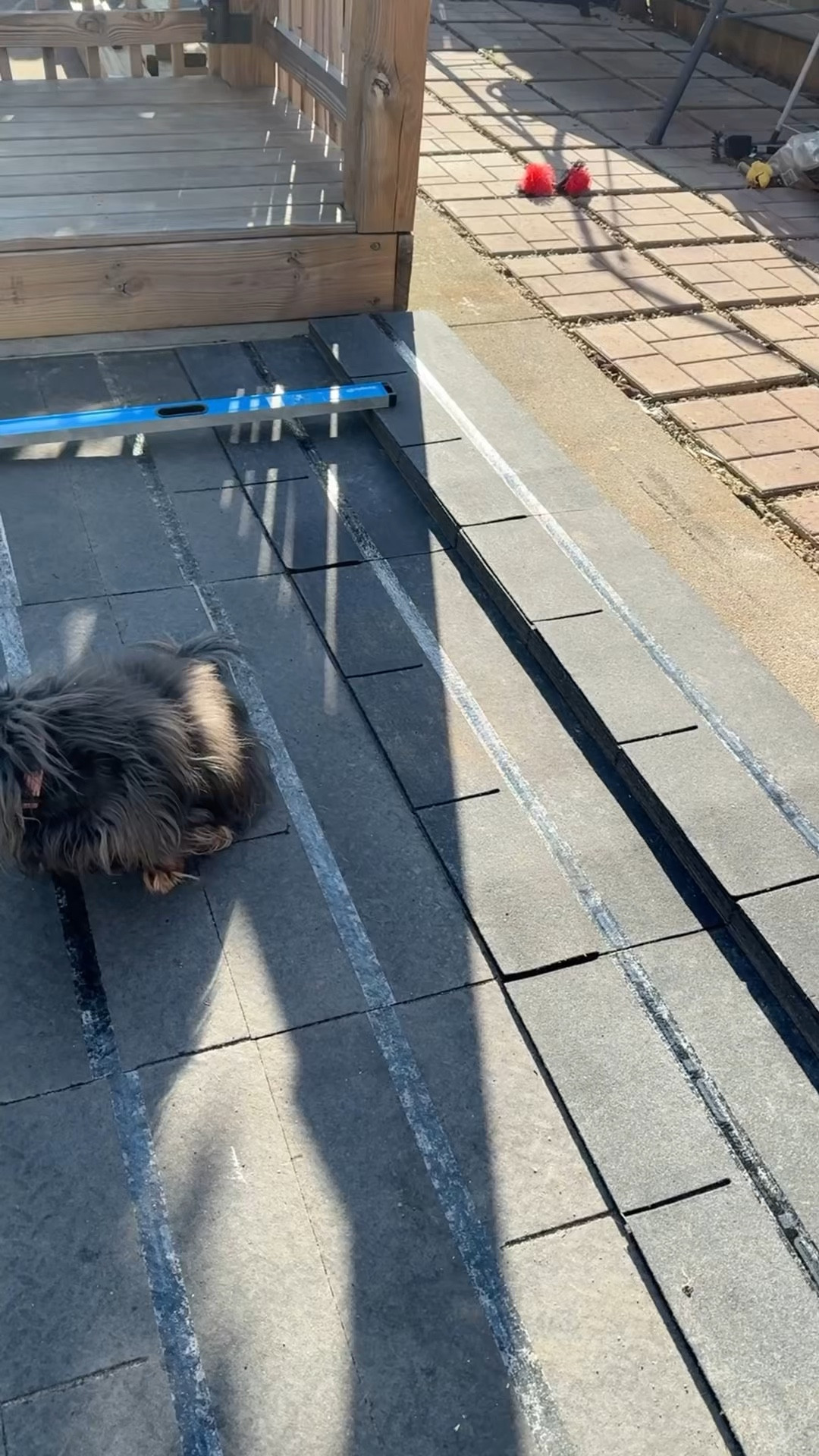 Building a level pool foundation is a must, (trust me, I learned the hard way many years ago).  😳  This is how I built a new 9 x 9 ft foundation for a new pool edition coming soon.  

#LTKSwim #LTKHome #LTKSeasonal