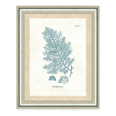 Framed Giclee Teal Seaweed Print III Wall Art | Bed Bath & Beyond