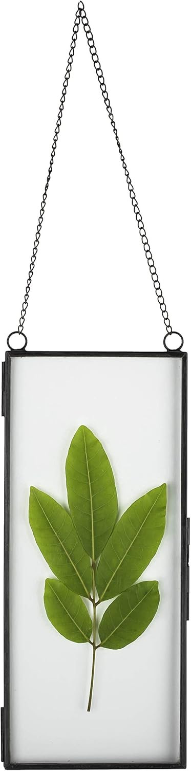 4x9 inchs Clear Glass Picture Frame Wall Hanging Certificate Photo Plant Specimen Clip Copper Mod... | Amazon (US)