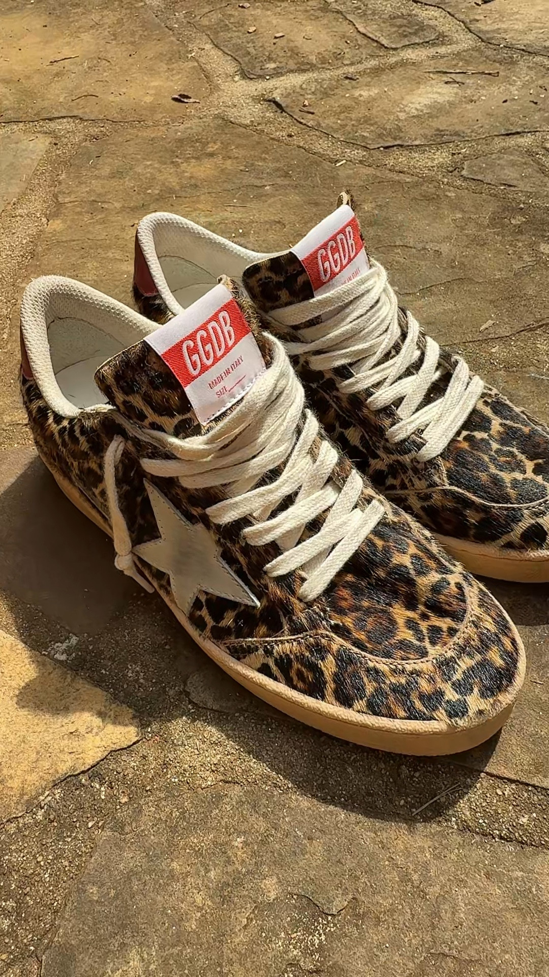 fall sneakers have arrived 💋🤌🏼🐆 
@Nordstrom 
@Golden Goose 
#goldengoose #sneakers #leopardprint #luxury #ballstar #leopardprint #genuinecalf #fall #fallstyle

#LTKShoeCrush #LTKSeasonal #LTKStyleTip