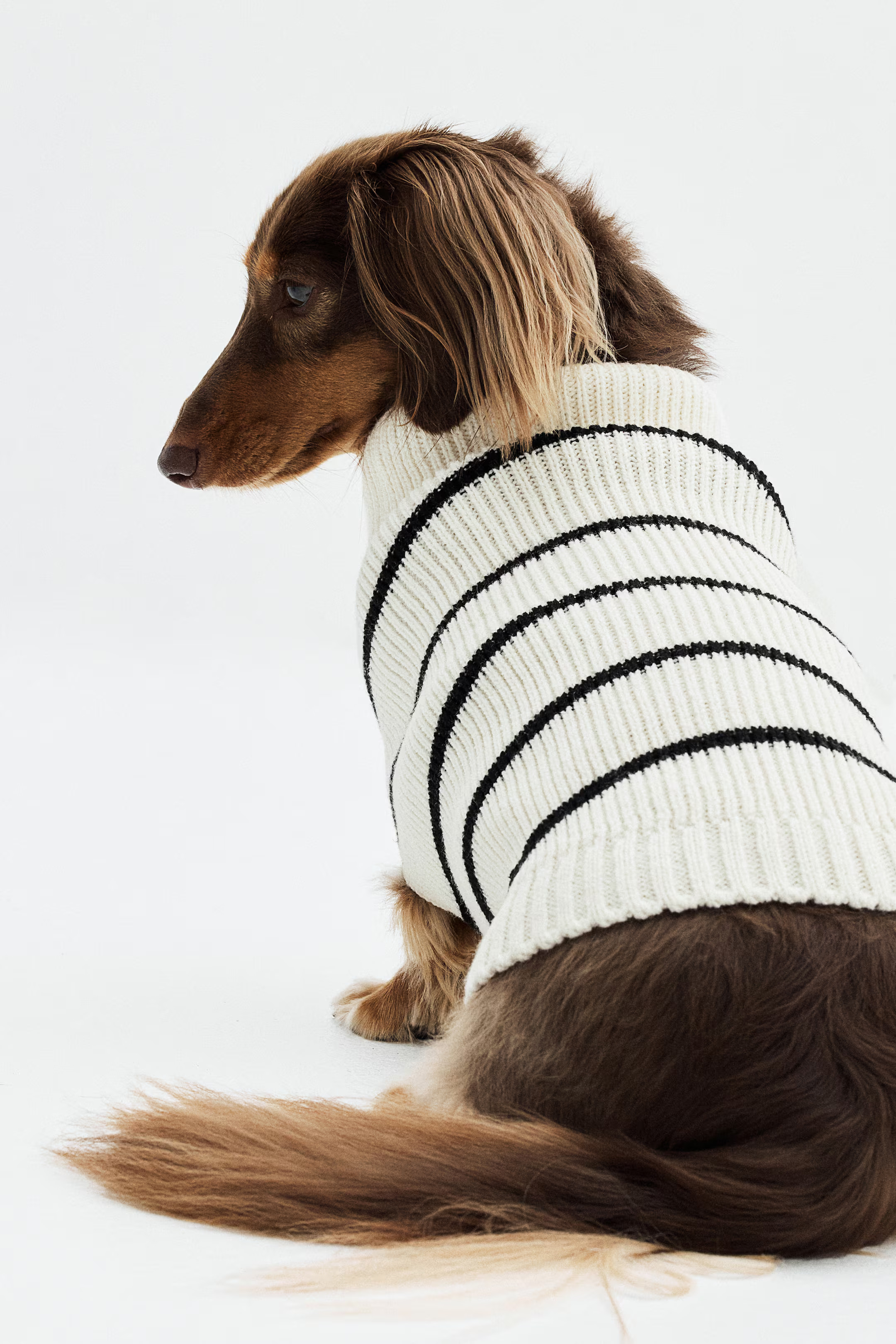 Rib-knit Dog Sweater | H&M (US + CA)
