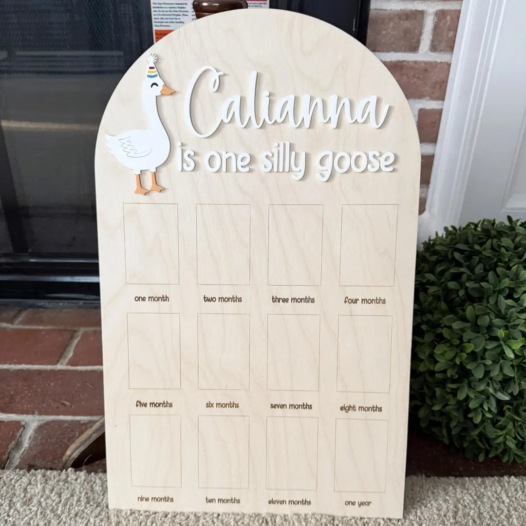 Personalized One Silly Goose 1st Birthday Photo Board - Fits Wallet Size Photos - Etsy | Etsy (US)