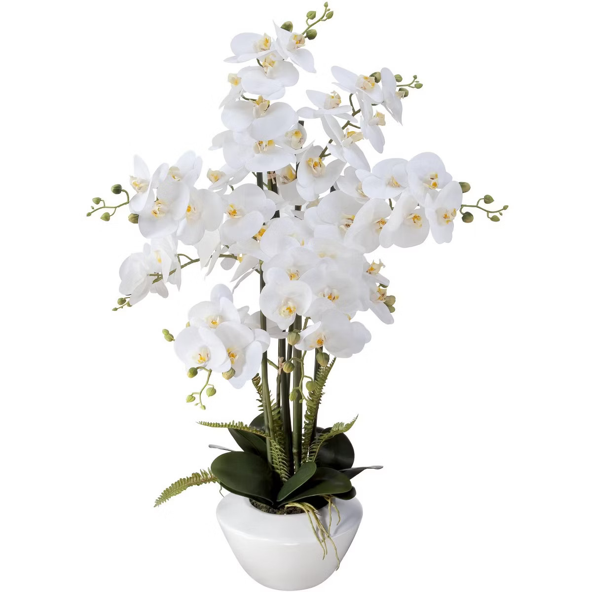 Dahlia Studios Potted Faux Artificial Flowers Realistic White Phalaenopsis Orchid in White Cerami... | Target