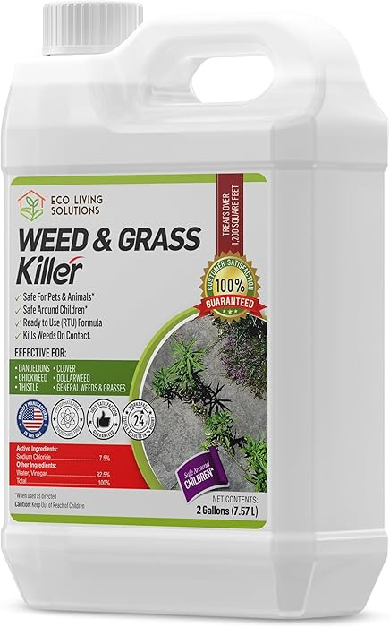 ECO Garden PRO - Organic Vinegar Weed Killer | Kid Safe Pet Safe | Clover Killer for Lawns | Moss... | Amazon (US)
