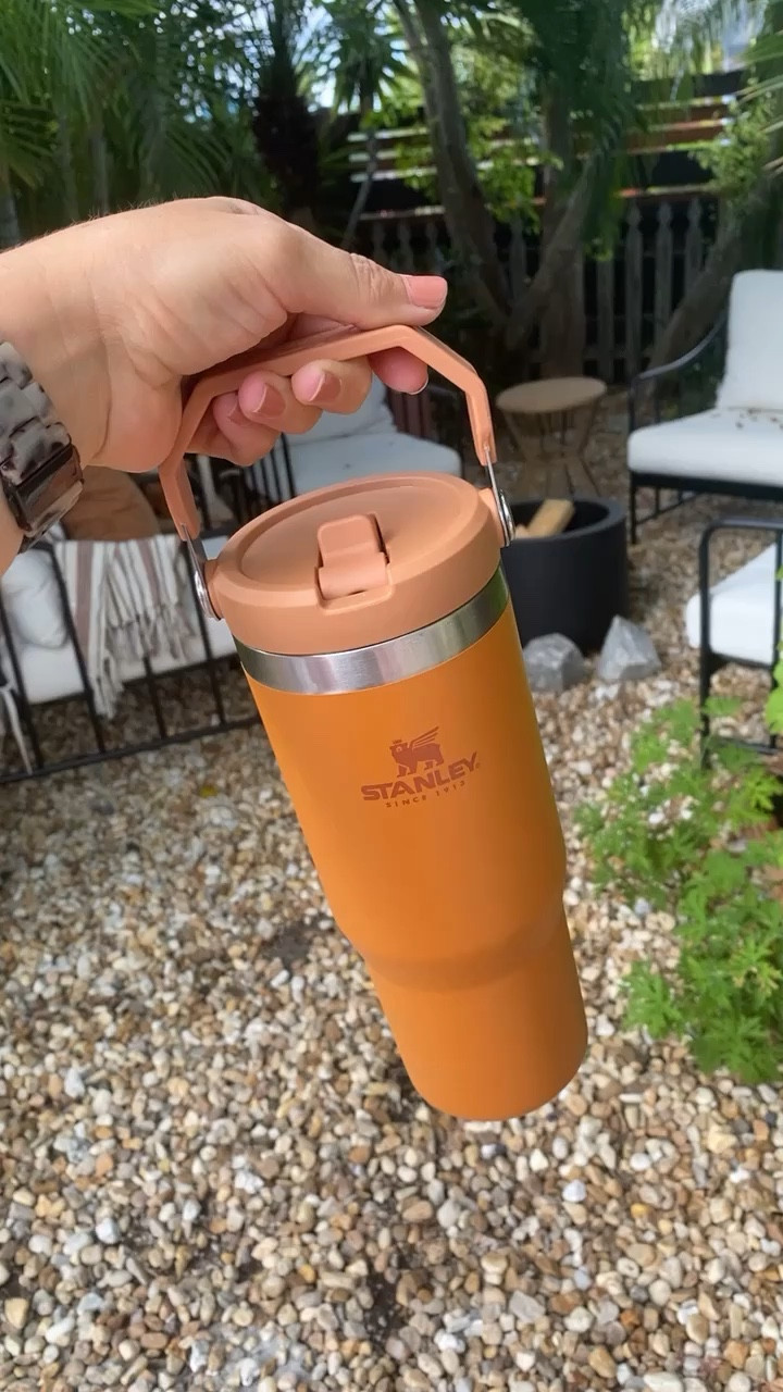 Stanley Tumblers are back in stock! They are going fast so don’t miss out on this restock. The hype is reallll. 

#LTKunder50 #LTKSeasonal