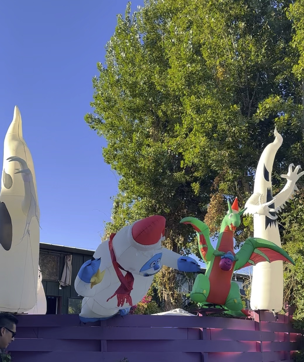 #LTKHoliday #LTKVideo #LTKHalloween