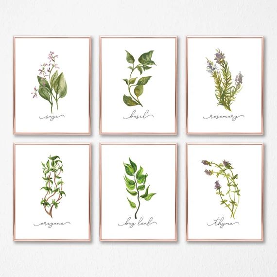 Herb Prints · Set of 9 · Herb Printable Collection · Kitchen Decor · Herb Wall Signs · Oregano Sage  | Etsy (US)