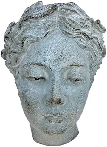 Greek Goddess Wall Planter - Cement Lady Head Bust Planter, 8" Indoor / Outdoor | Amazon (US)