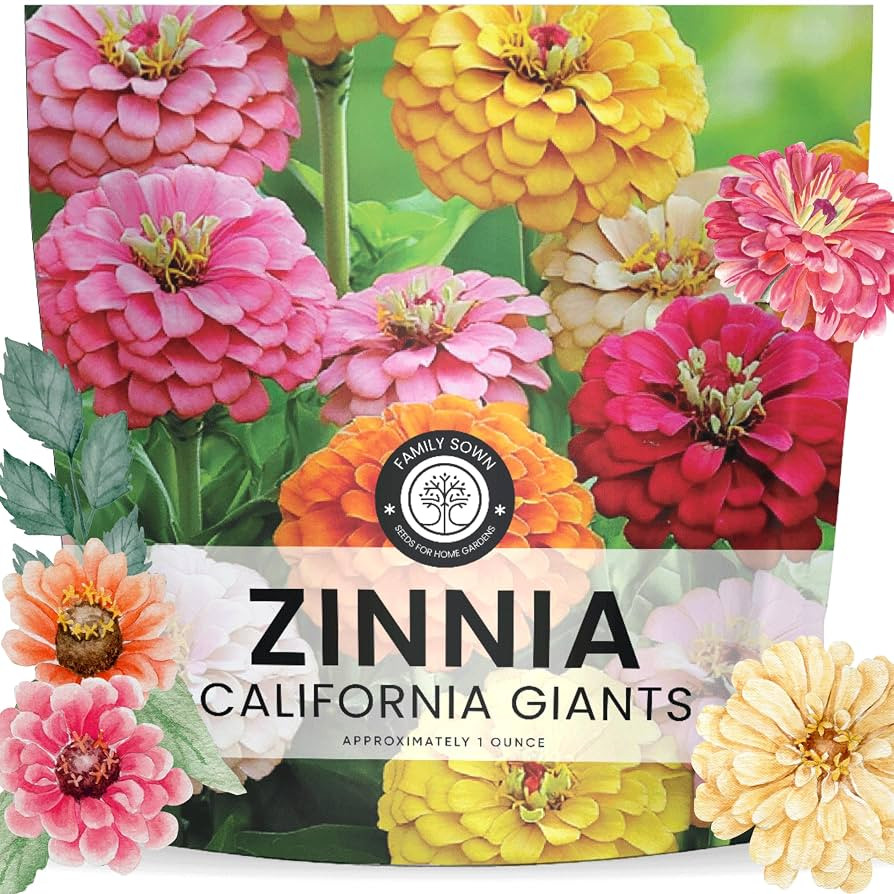 Zinnia California Giants - Large 1 Ounce Packet - 3,000 Flower Seeds for Planting - Zinnia elegan... | Amazon (US)