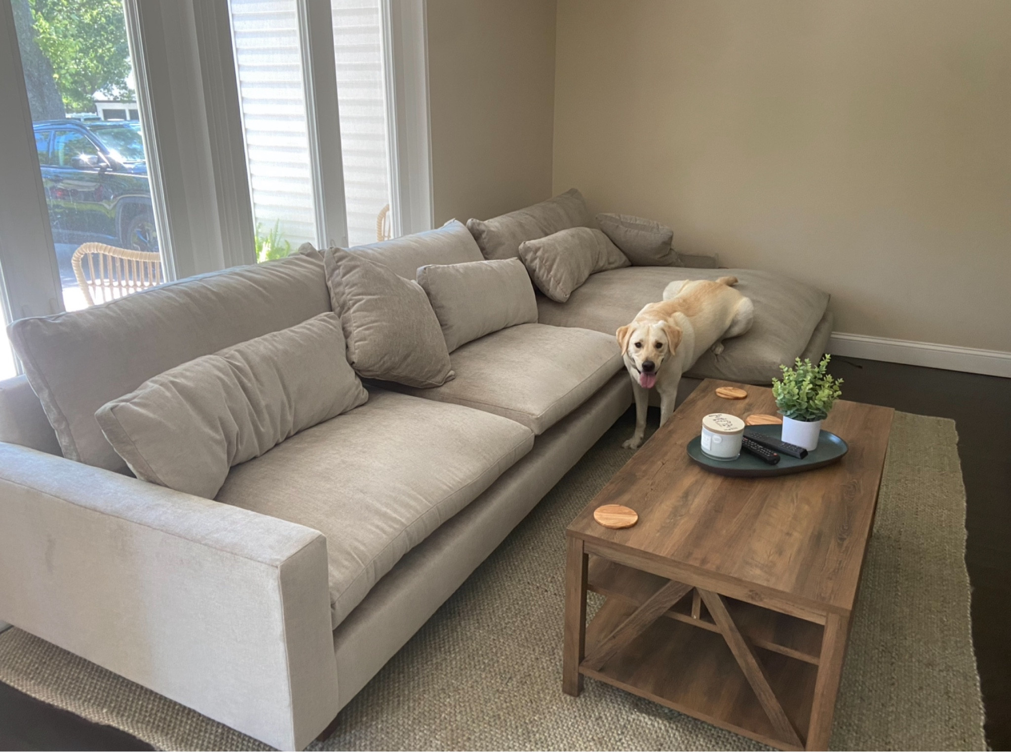 Best couch ever !!

#LTKhome