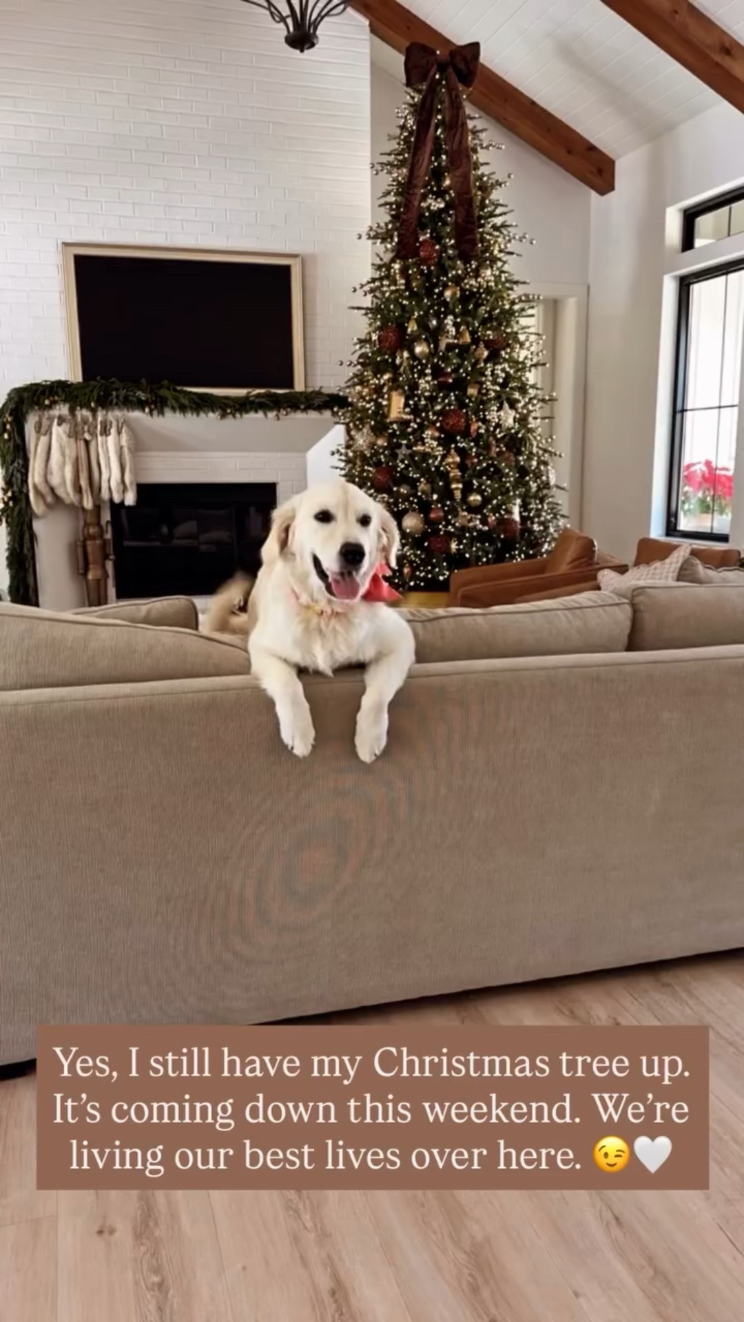 Yes, I still have my Christmas tree up. It’s coming down this weekend. We’re living our best lives over here. 😉🤍 linked our couches, chairs, TV, everything you are asking about!

#LTKSeasonal #LTKmomlife #LTKHome