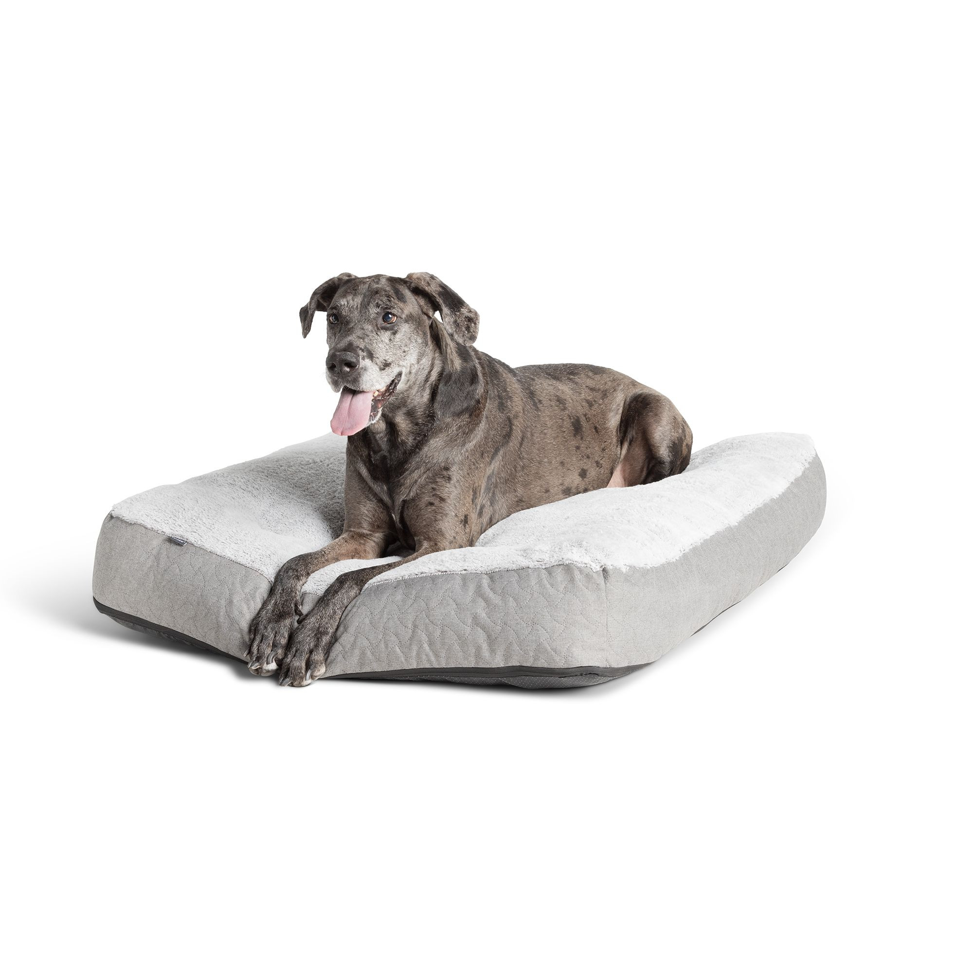 Top Paw® Orthopedic Memory Foam Quilt Mattress Dog Bed | PetSmart