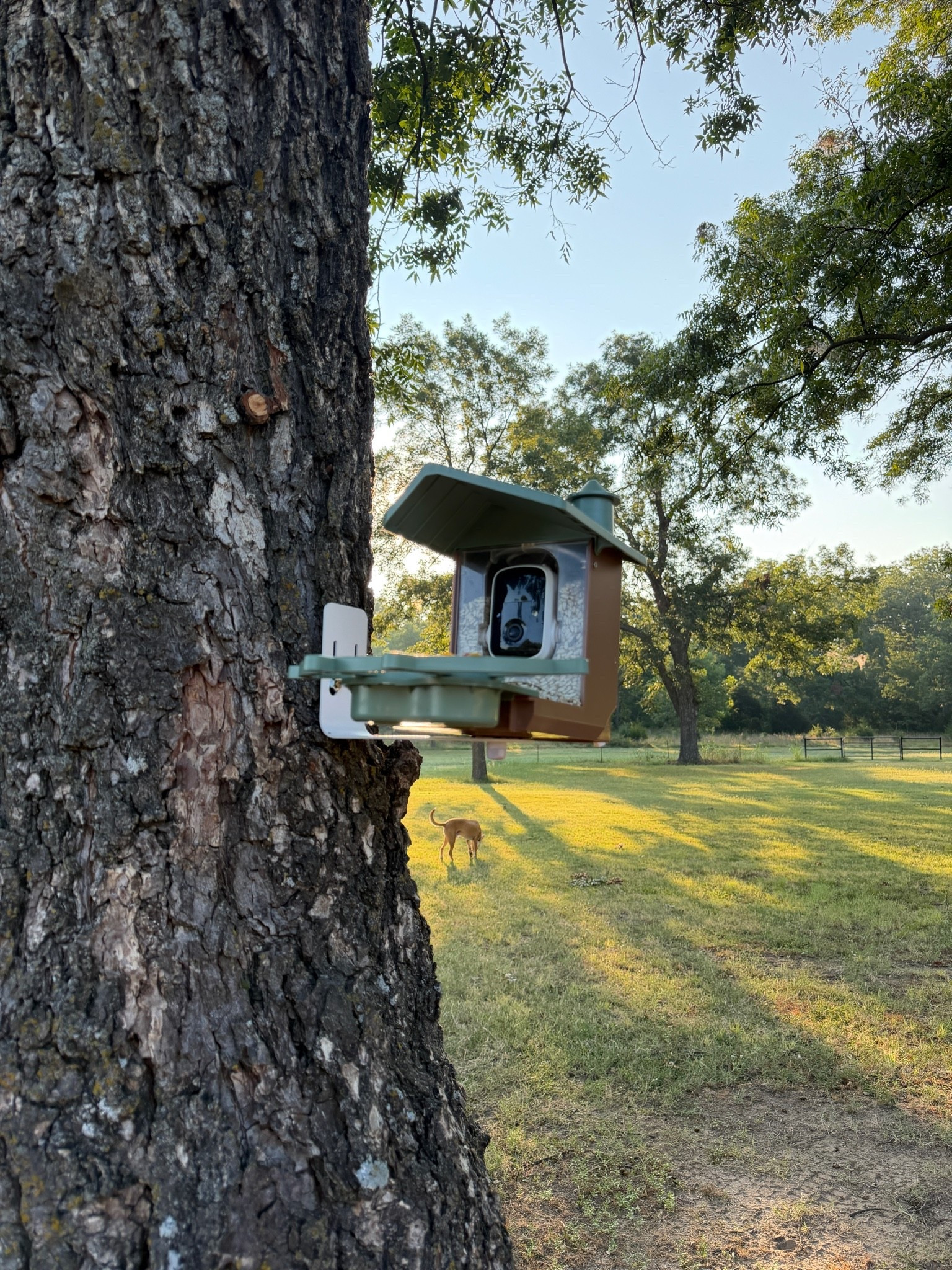 Bird feeder with camera

#LTKHome #LTKOver40