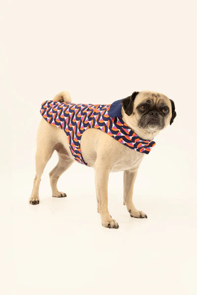GEO RAINBOW LINED PET PAJAMA JACKET | Trina Turk