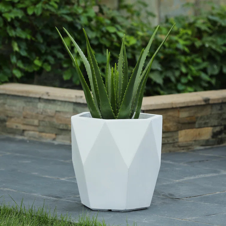 MgO Pot Planter | Wayfair Professional