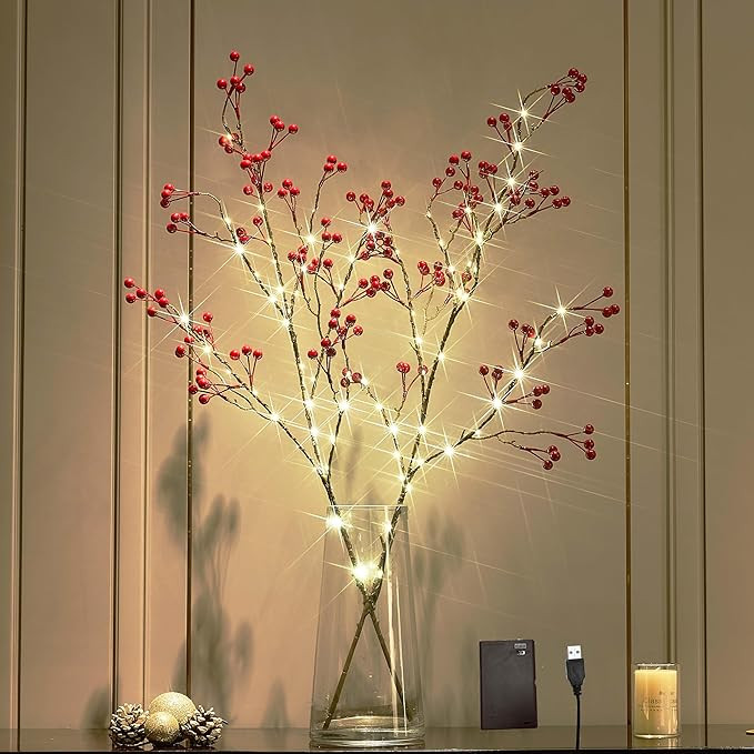 BAOLITVINE Lighted Red Berry Branches with Timer Battery Operated, Artificial Tree Branch with Re... | Amazon (US)