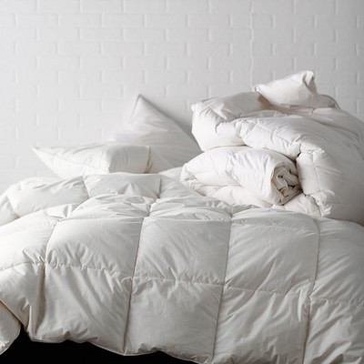 Cstudio Home Organic Comforter | The Company Store