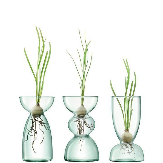 Canopy Trio Recycled Glass Vase Set, Transparent Green, 5in | West Elm (US)